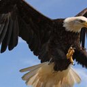 Severo Martínez - @oreves02 - Twitter