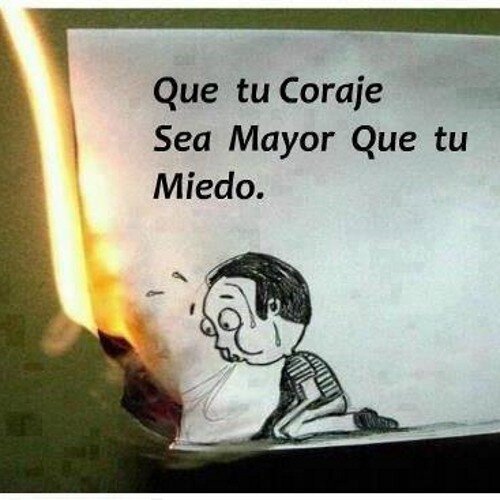 Moshyolo's profile picture. 