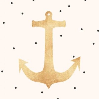 | 15 | Born and Raised New Yorker | Surfer | Field Hockey | Enjoys: All Things Prep |