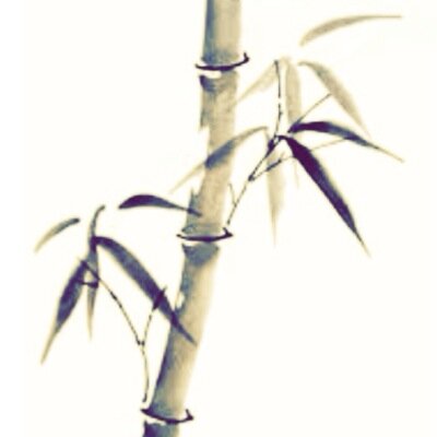 junbeezeee's profile picture. firmbeliever