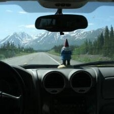Viewing the world from the backseat
Team Followback