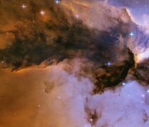 Профеcсиональное заболевание программиста – плоскопопие