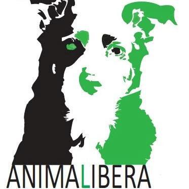 Onlus in difesa degli animali che opera prevalentemente presso il canile di Grignano (Bg)