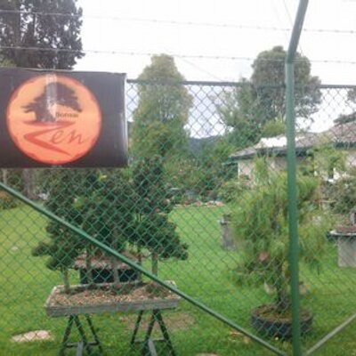 bonsaizen's profile image