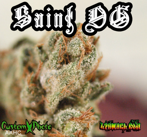 AnaheimHealing's profile picture. 