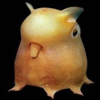 諦めきれないデブス喪女