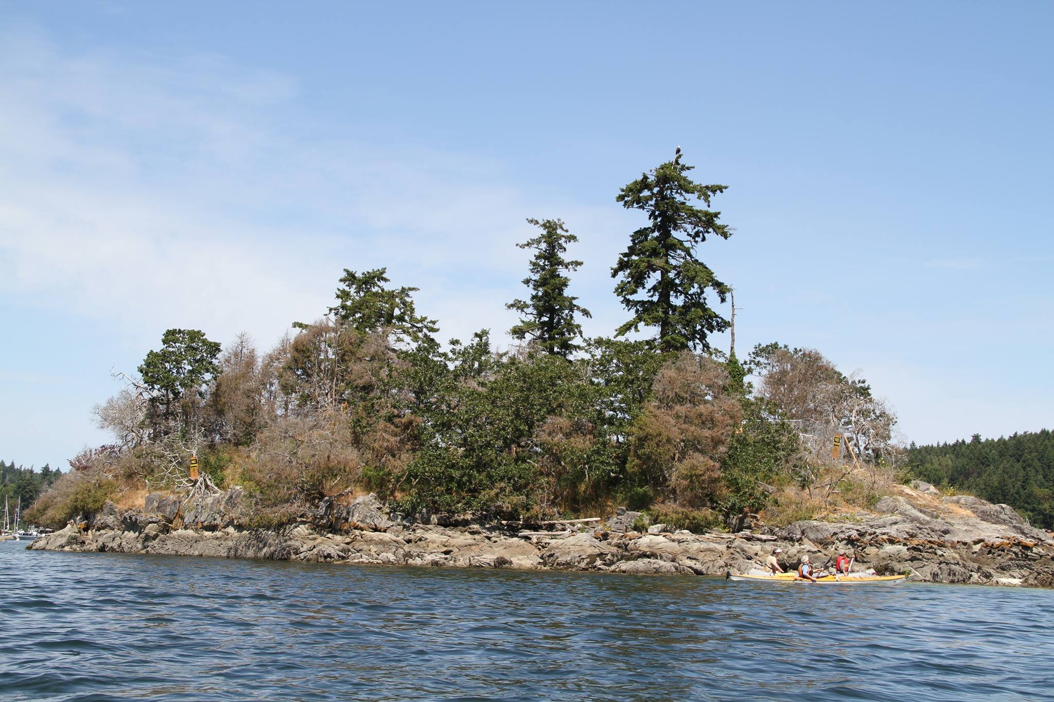 graceislet's profile picture. Showing respect and basic human decency by halting construction of a residence directly over burial grounds for meaningful consultation with First Nations.