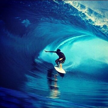 Fox94H's profile picture. Hello ;) ?