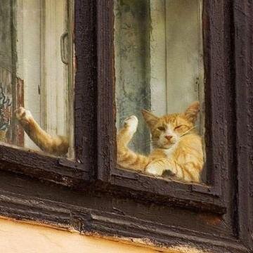 hepuzycohuc's profile picture. Просыпаюсь — сажусь за комп, прихожу на работу — сажусь за комп, возвращаюсь домой — подключаюсь к компу. Чувствую себя внешним устройством... Походу я флешка