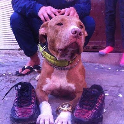 roustoumsid1's profile picture. 