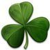 Tim OMeara (@irishomeara) Twitter profile photo
