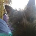 Andy Wade - @funnychops74 - Twitter