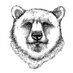 Black Bear (@blackbearbogota) Twitter profile photo Black Bear (@blackbearbogota) Twitter profile photo
