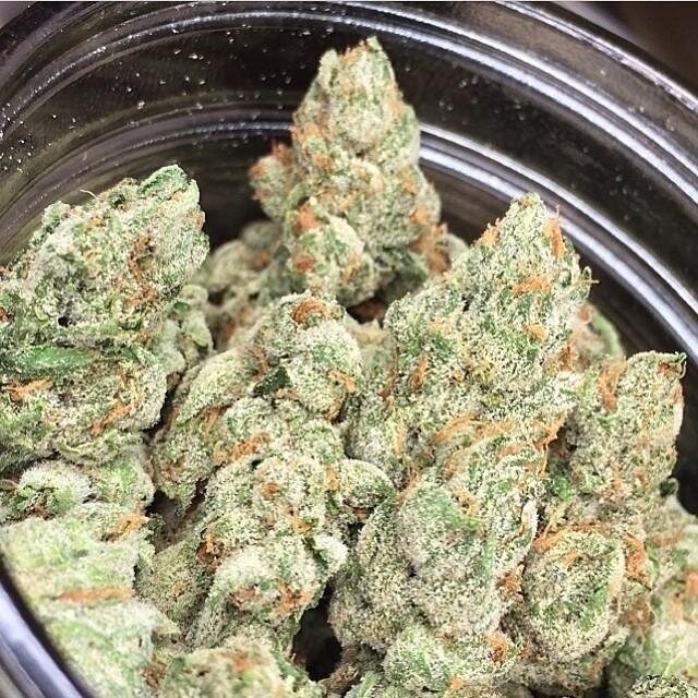 PicoHealing's profile picture. 5597 W Pico Blvd Los Angeles, CA 90019 Open Daily 10AM-8PM