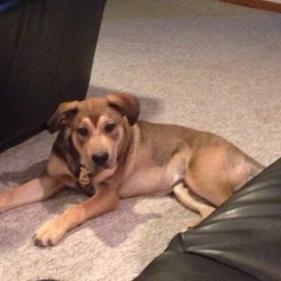 jjrumpff's profile picture. 