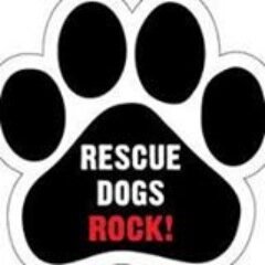 k9cadaver's profile picture. Love music and rescue animals. I play piano and bag-pipes. I have played the cello, clarinet and drums (but not anymore).