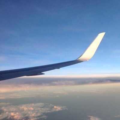 coyameli's profile picture. 