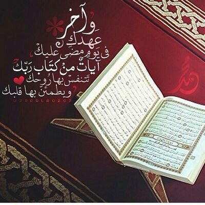 هدى المزروعي..اسم (سراب) سابقا  شاعرة انسانه تطلب الغفران من الله وتعيش داخل قوقعه الخيال والاحلام 
كاتبه واعلاميه . صحيفه الغد .وروافد.
عضوة  فريق بيئي التطوعي