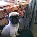 Matthias Klein - @matthiaskl22 - Twitter