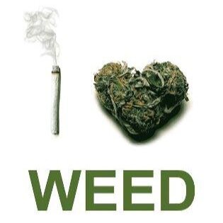 Weed is love, weed is tight, weed is above all.