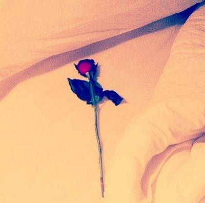 roufh1233462's profile picture. http://t.co/xLZ21FUuPI