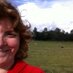 Olga Waaldijk (@waaldijk) Twitter profile photo