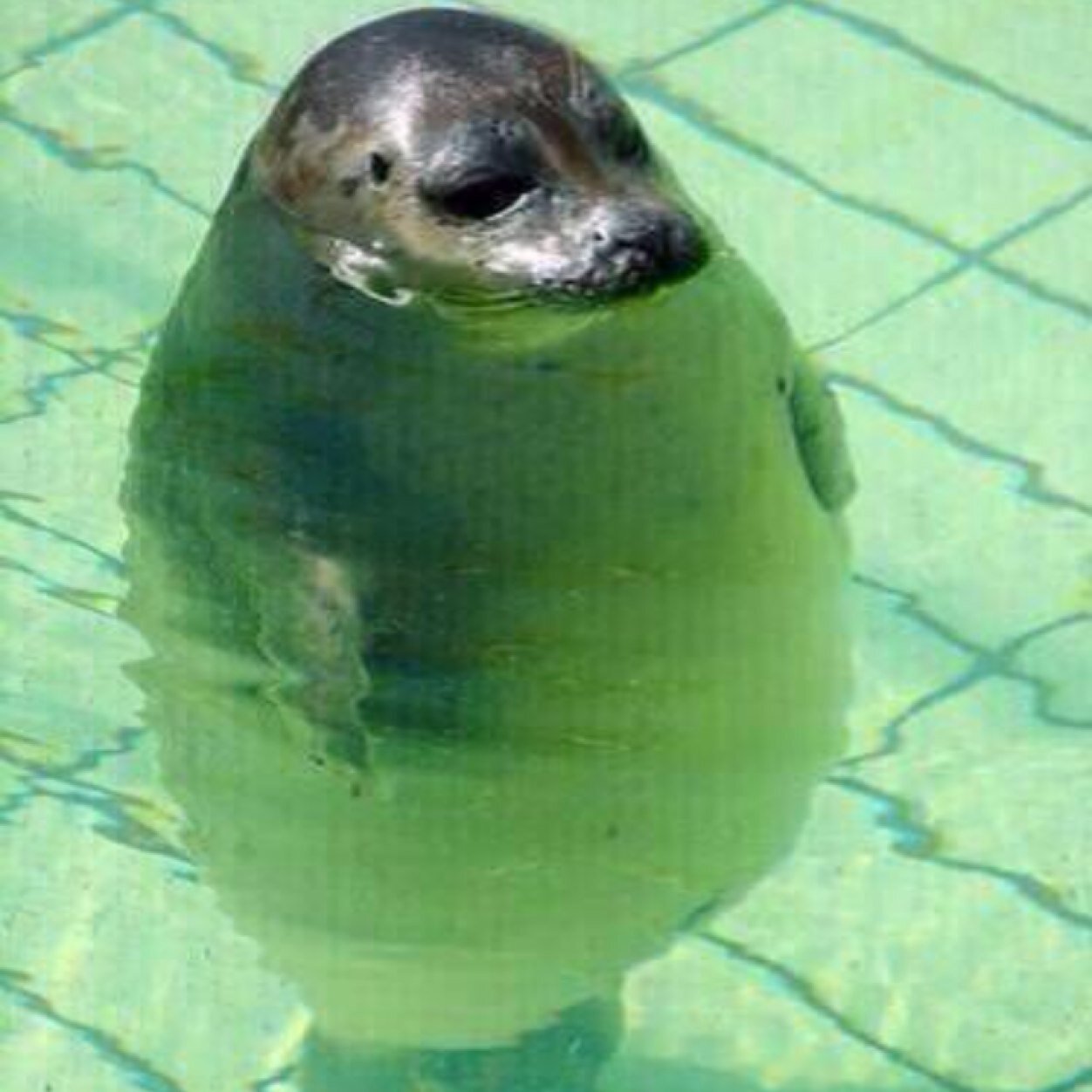 ximenaG21's profile picture. 