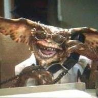 Maicena's profile picture. No se como se twittea, sólo leo.