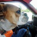 Kay Obrien - @KoKobrien1978 - Twitter