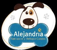 Amamos a los animales, rescatamos y damos refugio a perros en estado de vulnerabilidad, alejándolos del abandono y el sufrimiento.