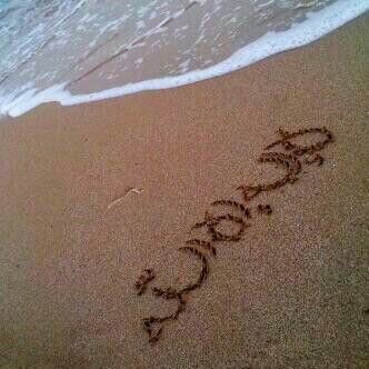 nonee5555's profile picture. معلمة ابتدائي بمحافظة الوجه ابحث لصديقاتي المعلمات من الوجه واملج والمدينة المنورة عن رجال اهل دين واخلاق  والله من وراء القصد