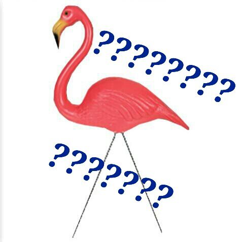 ?