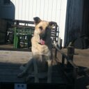 Riley Hahn - @rileyhahnzie - Twitter