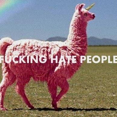 @llama_ajol/@porterrobinson He's MY future husband/I'm a fucking pandilamacorn/@justinismjne is my unicorn bff/Italy.
