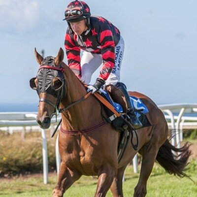 Student, jockey and Brighton and Hove Albion fan. Also, kindly sponsored by Ray Thomas Ltd.