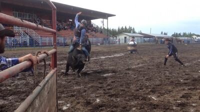 BueckertDale's profile picture. 