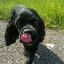 Jacob Groen - @GreetGroen - Twitter