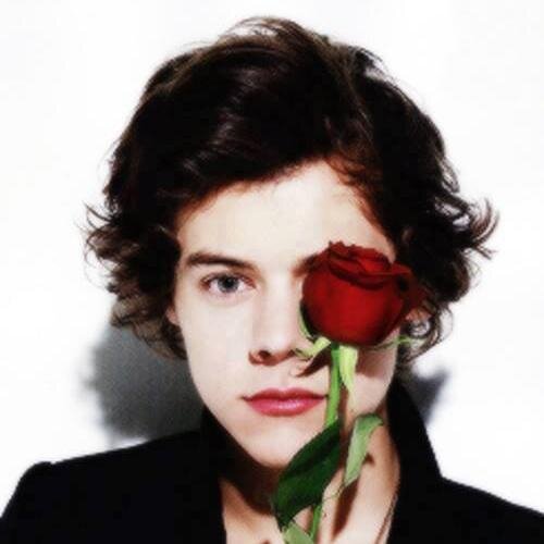 5 Love My Husbands Harry Zayn Liam Louis Niall 1D Directioner When.