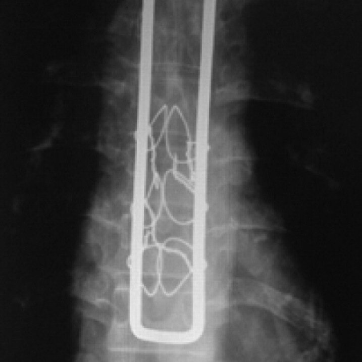 HHRECTANGLE's profile picture. 