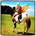 kerstie allen (@kerstiea) Twitter profile photo kerstie allen (@kerstiea) Twitter profile photo