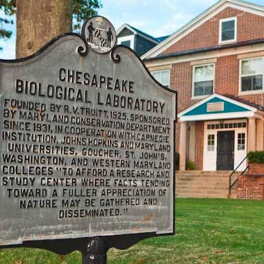 The Chesapeake Biological Laboratory (CBL) is an environmental research & education facility of the University of Maryland Center for Environmental Science