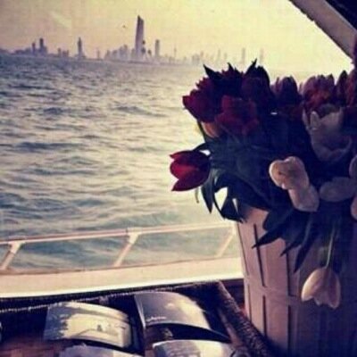 d_mohmmd11's profile picture. 