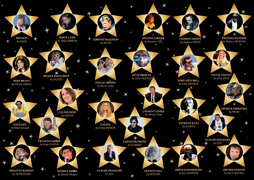 lanuitdesstars's profile picture. lesmeilleors sosies professionnels de France sont dans la Nuit des Stars