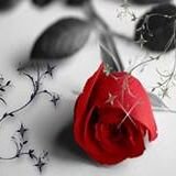 ‏‏طالبه رضى الله وجنته *-