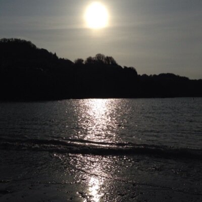 markg181 Profile Picture