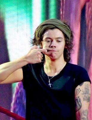 please follow @stylesforsex (if you want) bc she gave you this follow xx
