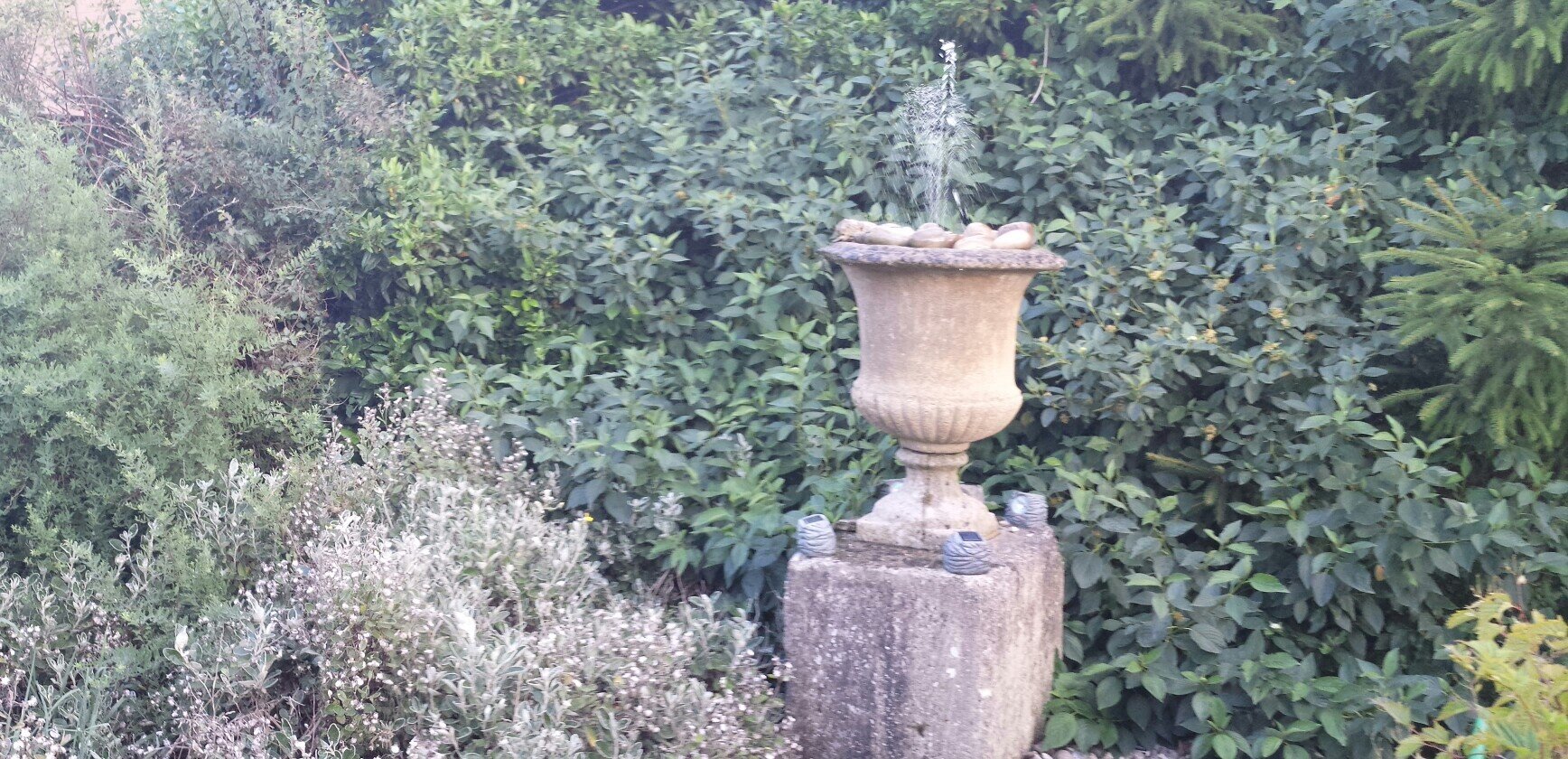 yvonnenelson701's profile picture. Compliance manager stow on the wold