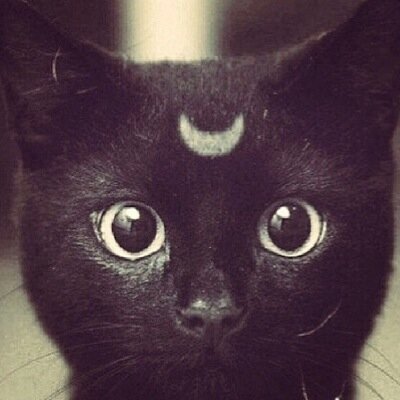 LeilaLolarolla's profile picture. 