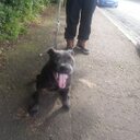 Colin Black - @ColinBlack18 - Twitter