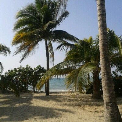 Estefania_Mur's profile picture. 